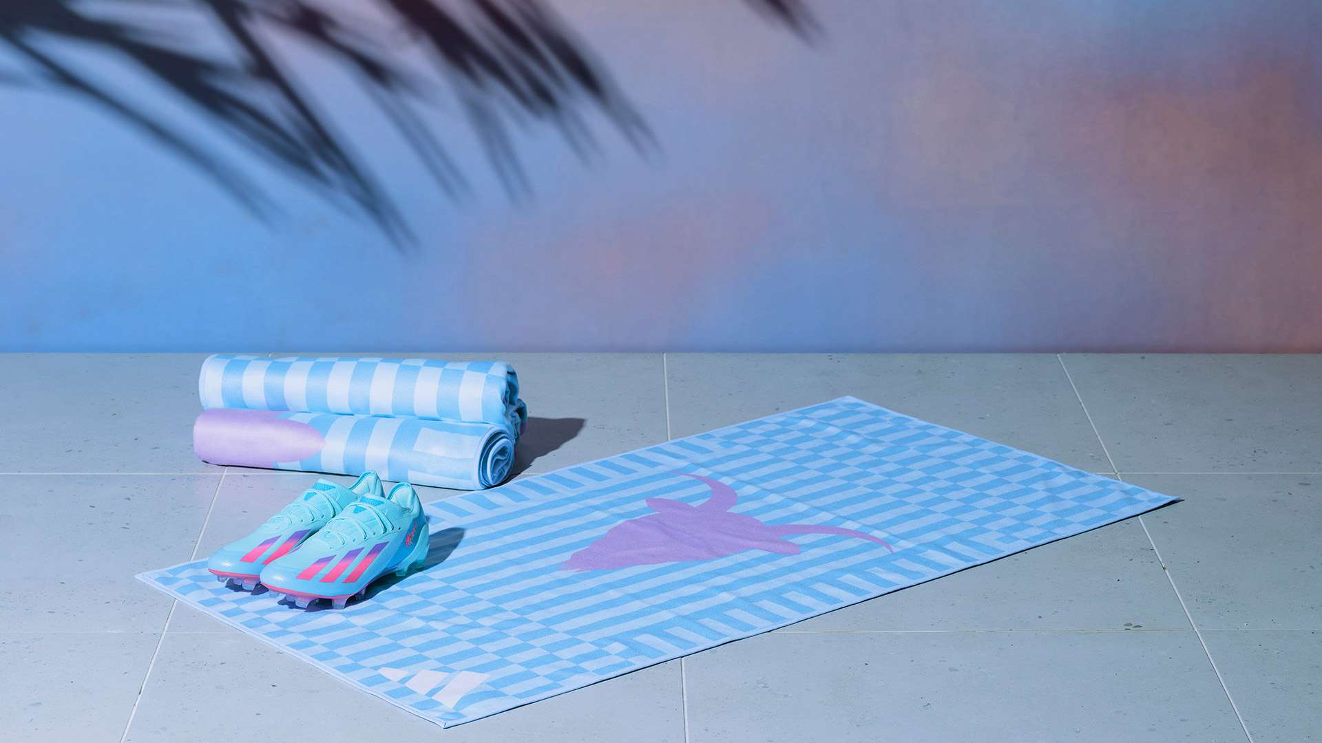 这篇文章将 这篇文章将