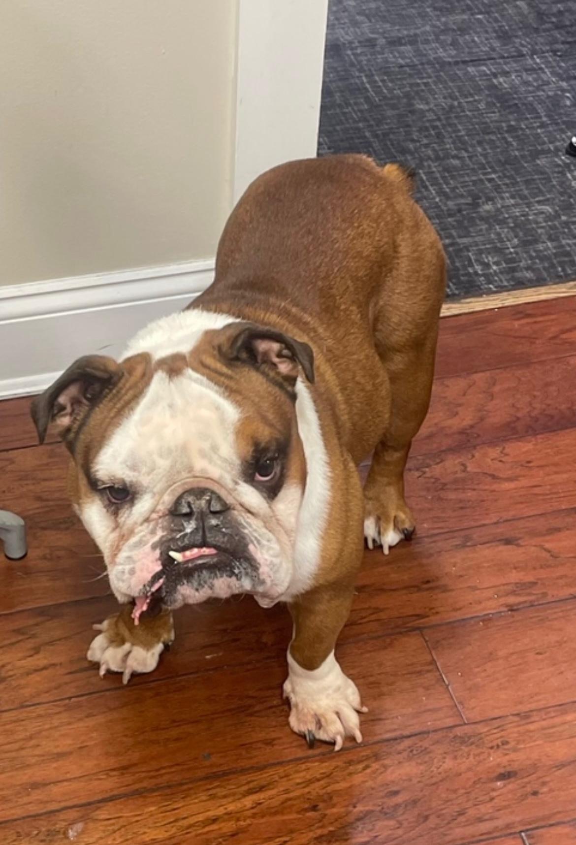 部向更高水 部向更高水