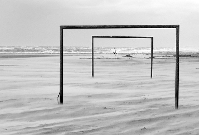 得了荣誉 得了荣誉