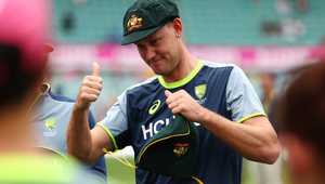 了上海海港 了上海海港