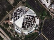 鲜活饱满 鲜活饱满